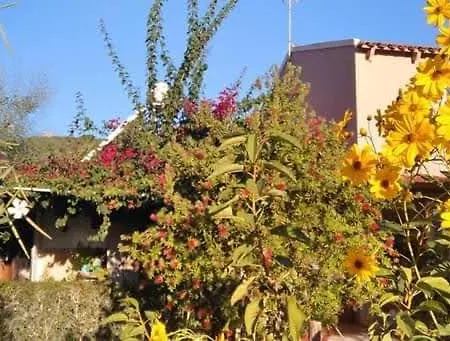 Appartement Spiti Lou