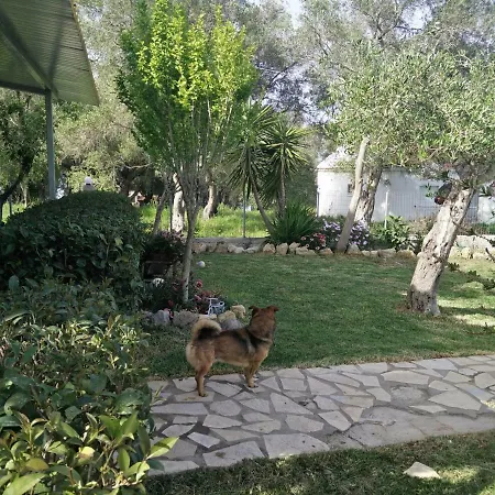 Appartamento Lou *